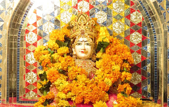 महा आरती एवं महाप्रसाद का हुआ आयोजन महा आरती एवं महाप्रसाद का हुआ आयोजन