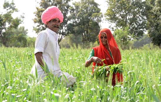 Zinc Fortification in Indian Soils