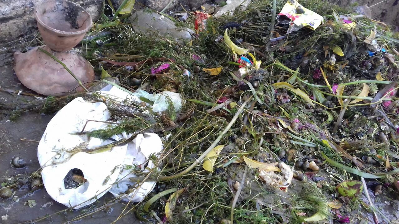 झील प्रेमी दिवंगत ललित पालीवाल को श्रद्धांजलि झील संवाद में झील प्रेमी दिवंगत ललित पालीवाल को श्रद्धांजलि झील संवाद में