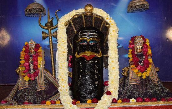 महाशिवरात्रि पर्व पर ठाकुर जी का हुआ मनभावन श्रृंगार महाशिवरात्रि पर्व पर ठाकुर जी का हुआ मनभावन श्रृंगार