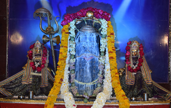 एक लाख पार्थिव शिवलिंग व नवग्रहों के हुए अनुष्ठान एक लाख पार्थिव शिवलिंग व नवग्रहों के हुए अनुष्ठान
