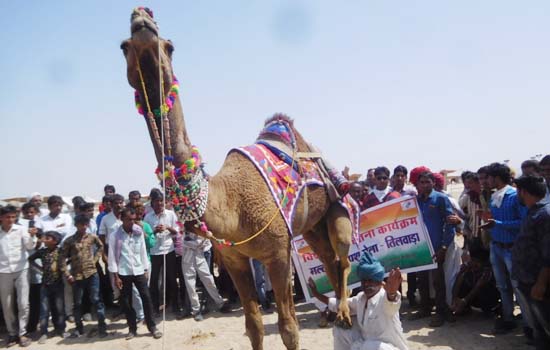  मेले में किया ऊॅंट नृत्य प्रतियोगिता