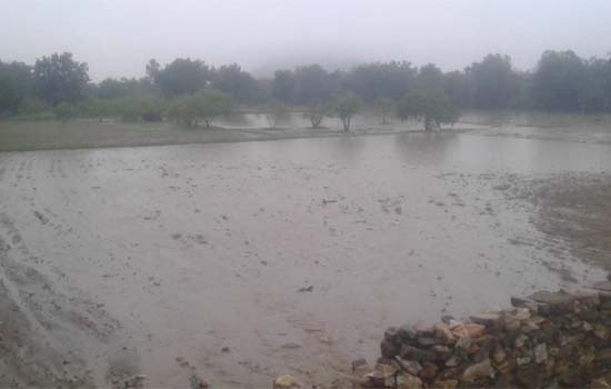 हाईवे निर्माण के कारण खेतों में भरा पानी हाईवे निर्माण के कारण खेतों में भरा पानी