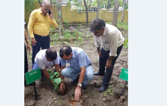 केमिकल एसोसिएशन ने किया पौधरोपण केमिकल एसोसिएशन ने किया पौधरोपण