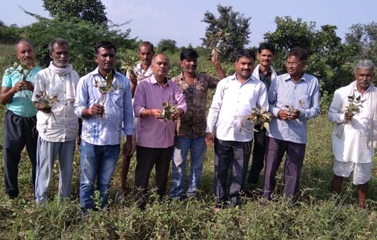 फसलों का सर्वे कर किसानों को उचित मुआवजा देः मीणा फसलों का सर्वे कर किसानों को उचित मुआवजा देः मीणा