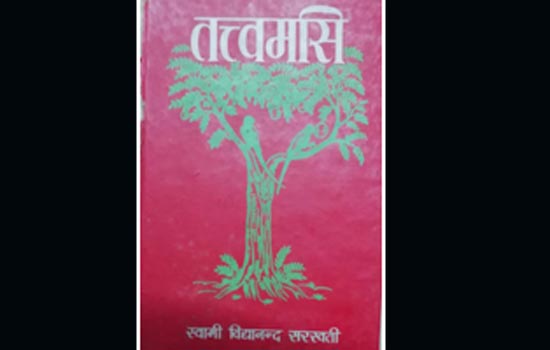 “सृष्टि में क्रमबद्धता तथा कार्य-कारण-श्रृंखला का बने रहना प्रभुसत्ता-सम्पन्न विश्वात्मा के बिना सम्भव नहीं”