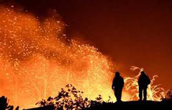 कैलिफोर्निया में लगी आग की चपेट में आकर मरने वालों की तादाद 79 पहुंची