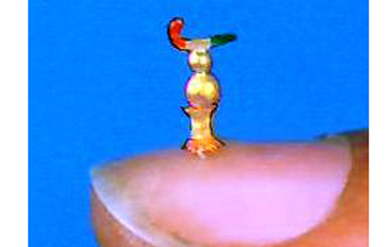 सक्का ने हाॅकी मेन्स वर्ल्ड कप की 3 मिमी की प्रतिकृति बनाई