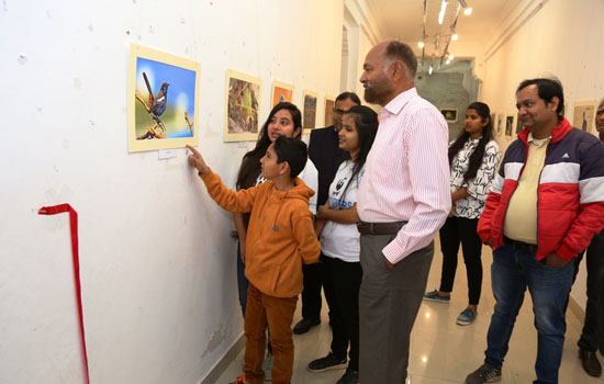 11 वर्षीय निरायम उपाध्याय की वन्यजीव व पक्षियों कीे फोटोग्राफी प्रदर्शनी ने किया आकर्षित