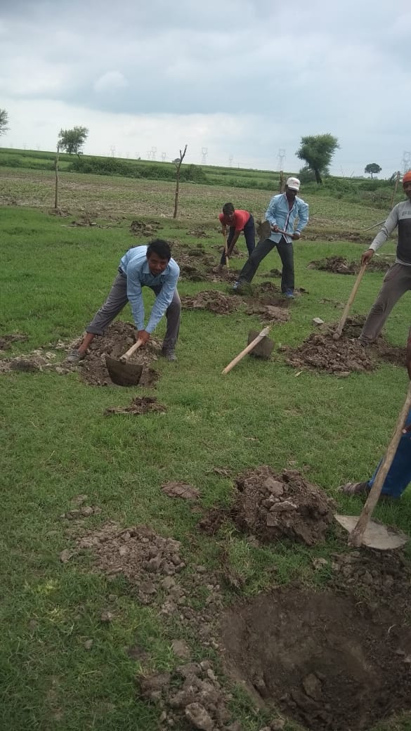 बारां जिले में 2 लाख 51 हजार पौधे लगाने का महाअभियान,