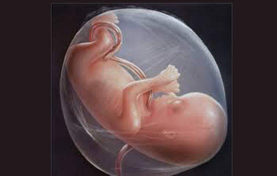 अमेरिका में डॉक्टर के आवास से 2,000 से भी ज्यादा भ्रूणों के अवशेष मिले
