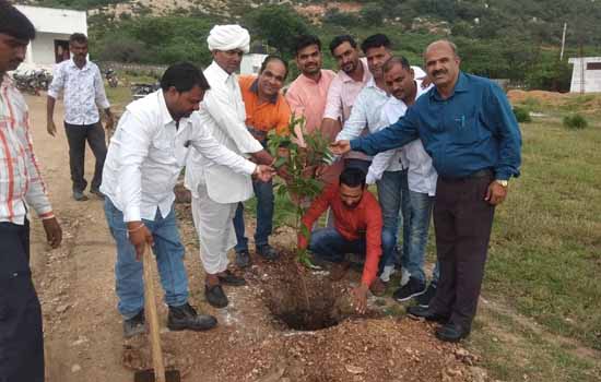 जिंक द्वारा राजकीय उच्च माध्यमिक विद्यालय आजोलिया का खेडा में पौधरोपण