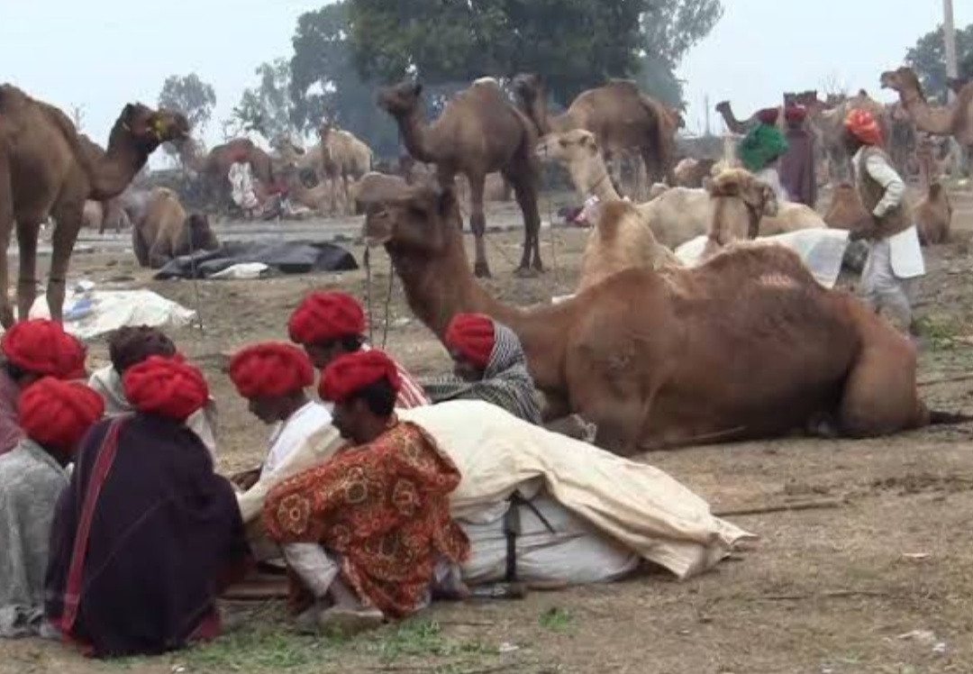  चंद्रभागा मेला प्रारम्भ, विविध मनोरंजक कार्यक्रम आयोजित होंगे