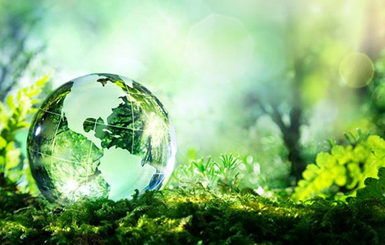 5 जून विश्व पर्यावरण दिवस- जैव विविधता का उत्सव ?