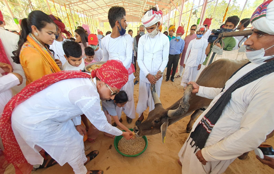 पावापुरी मे पशु चिकित्सालय का उद्घाटन हुआ