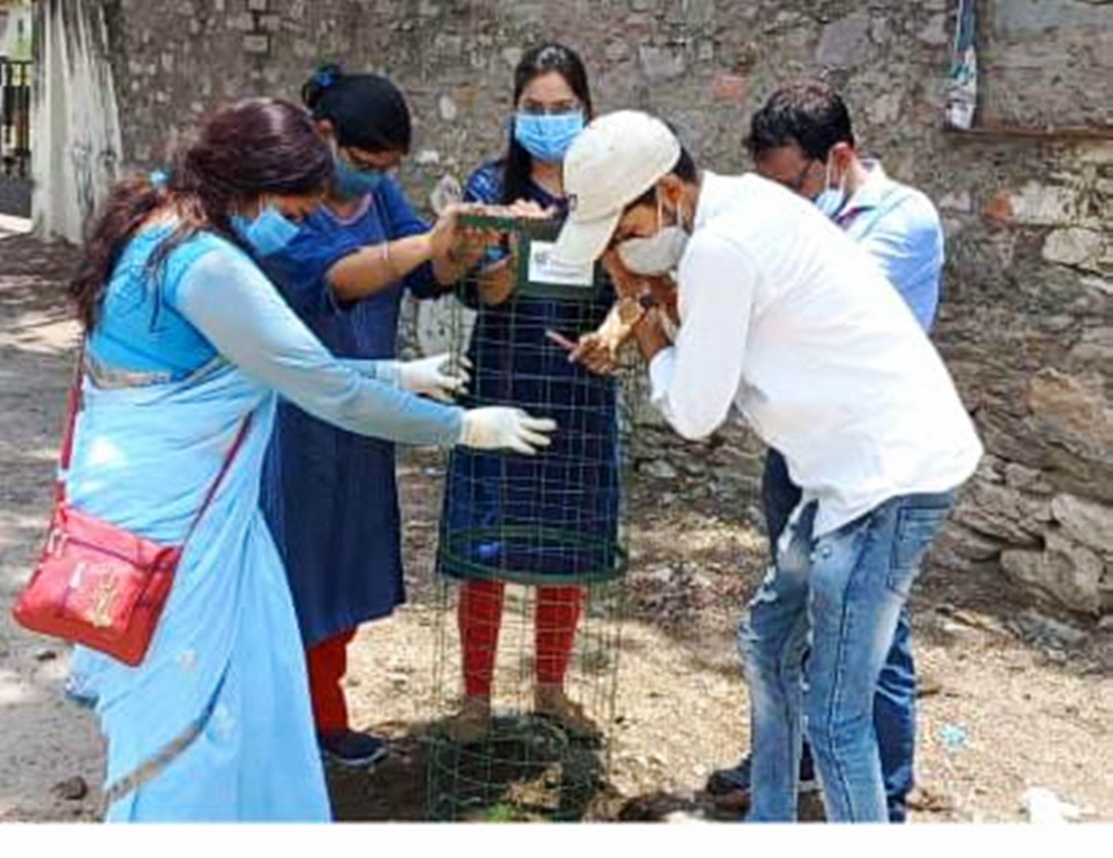 प्रगति पर राजराजेश्वरी फाउंडेशन का पीपल बचाओ-पीपल लगाओ अभियान