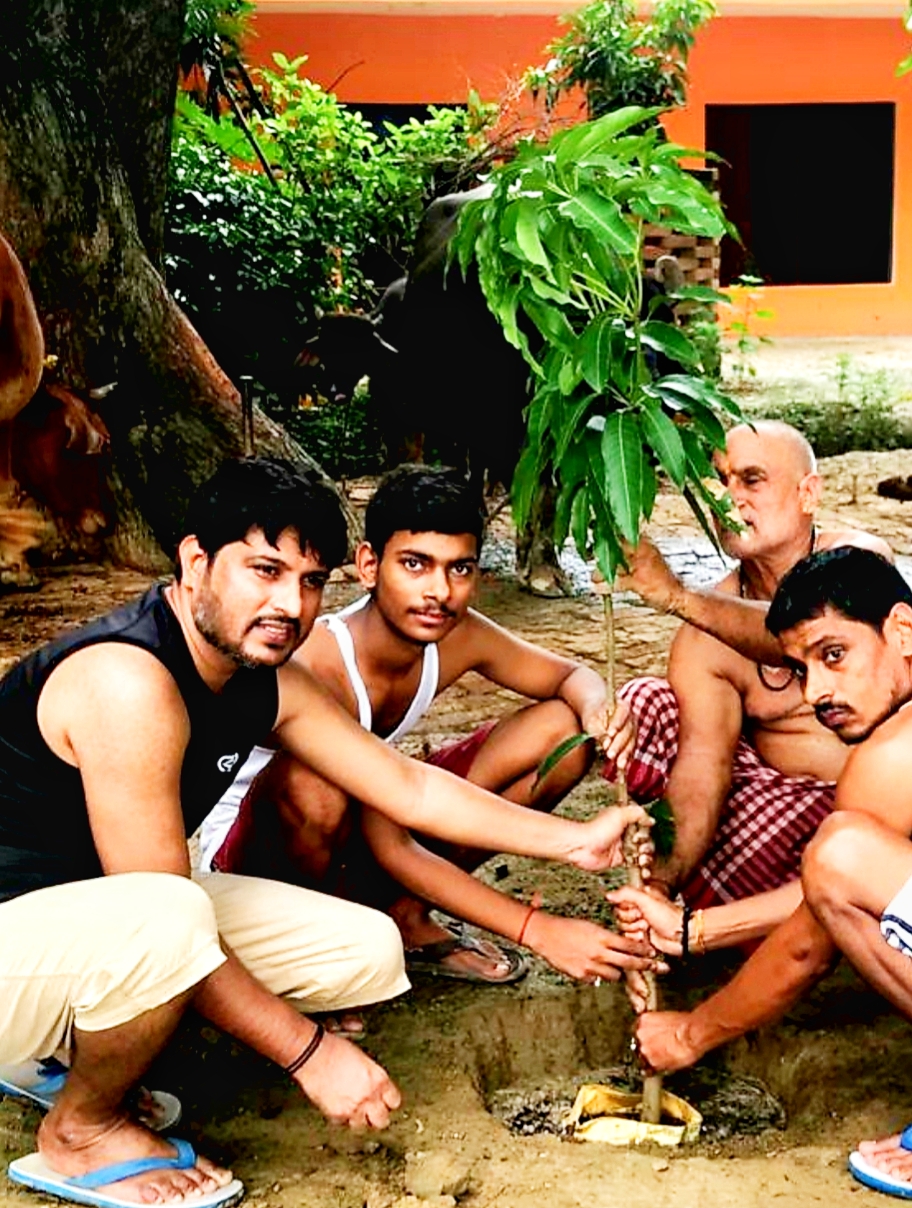 Social worker and senior journalist Ganesh Pandey started tree plantation in UP's Nibiya