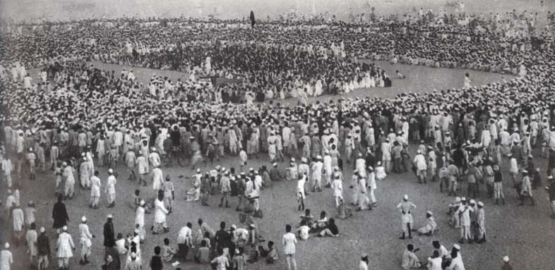 Bijolia  movement  