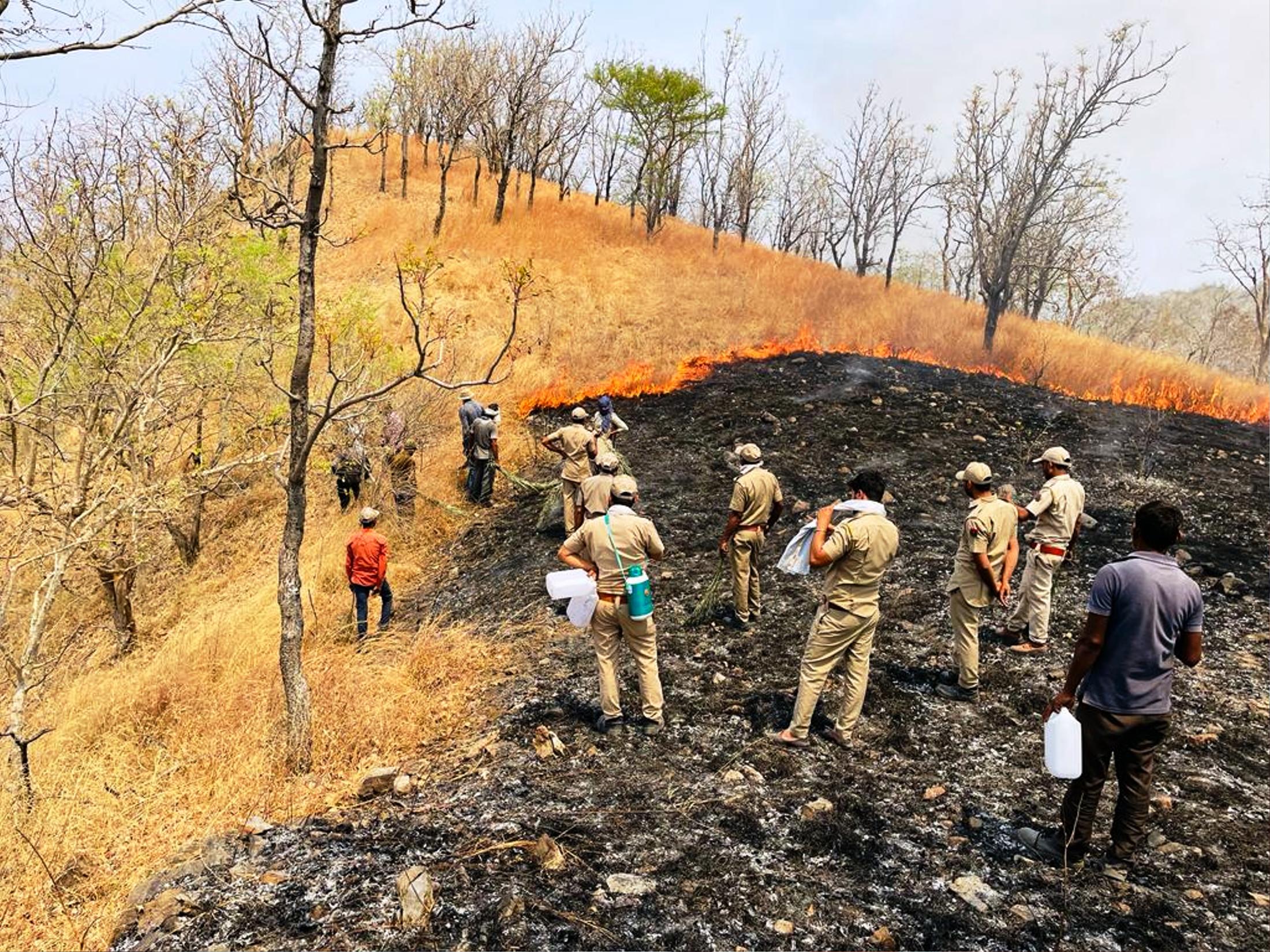 केवड़ा की नाल वन क्षेत्र में लगी आग पर पाया काबू