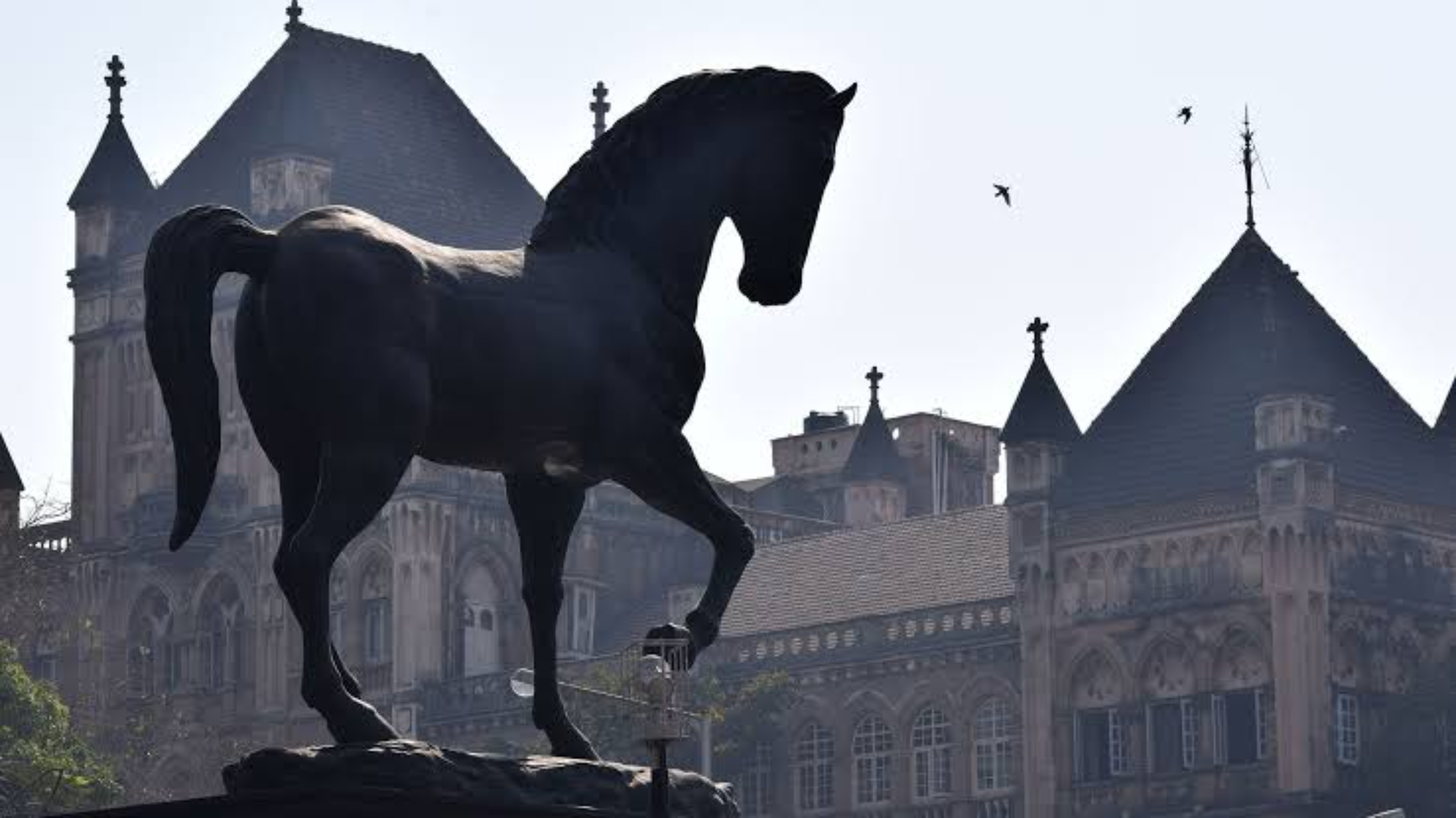Hold Your Horses… Kala Ghoda Arts Festival back in saddle from Feb 4-12, 2023