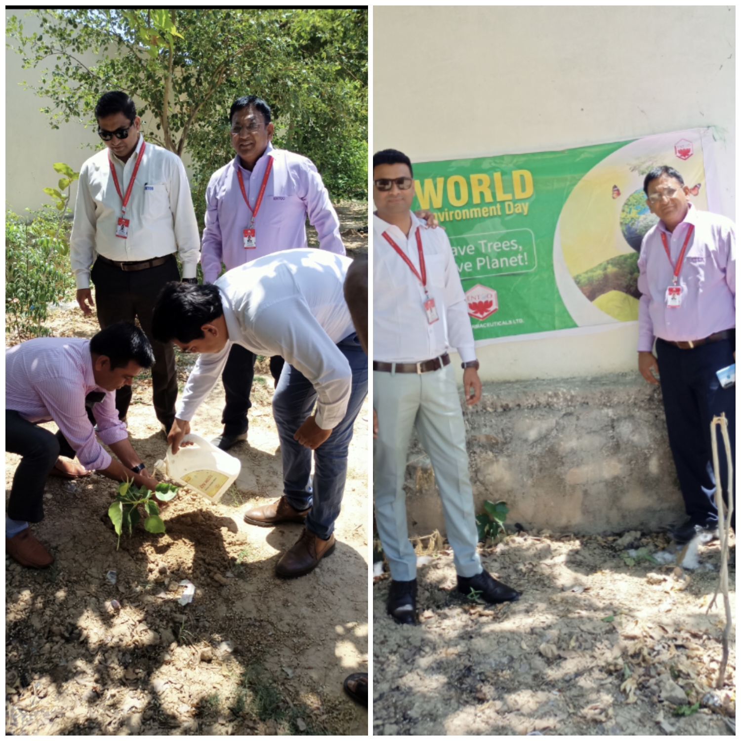 Tree plantation in Bhadana Housing Society on World Environment Day