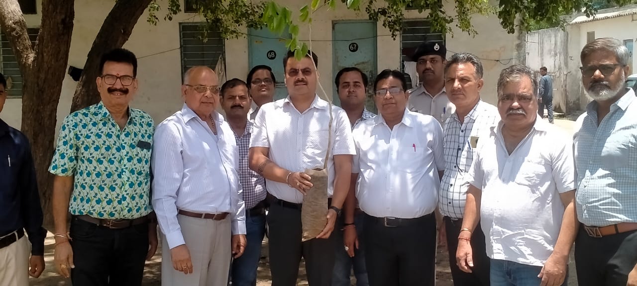 Tree Plantation at reliance Chemotex