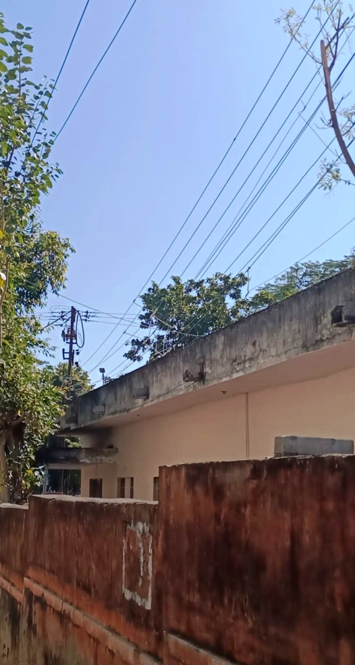 एमडी निर्वाण के निर्देशों पर सरकारी आवास के उपर से हटे बिजली के तार