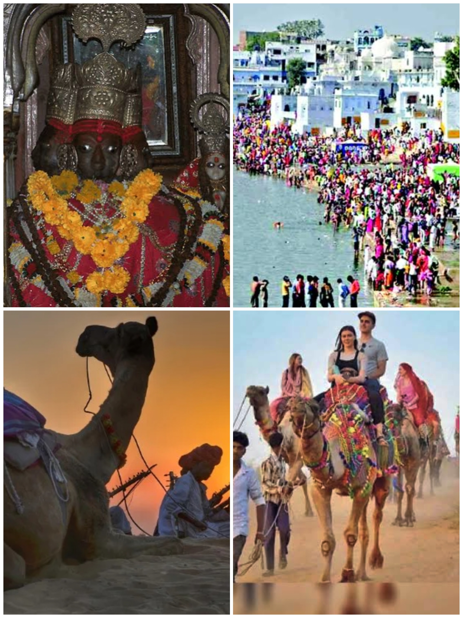 विश्व पर्यटन में पुष्कर
