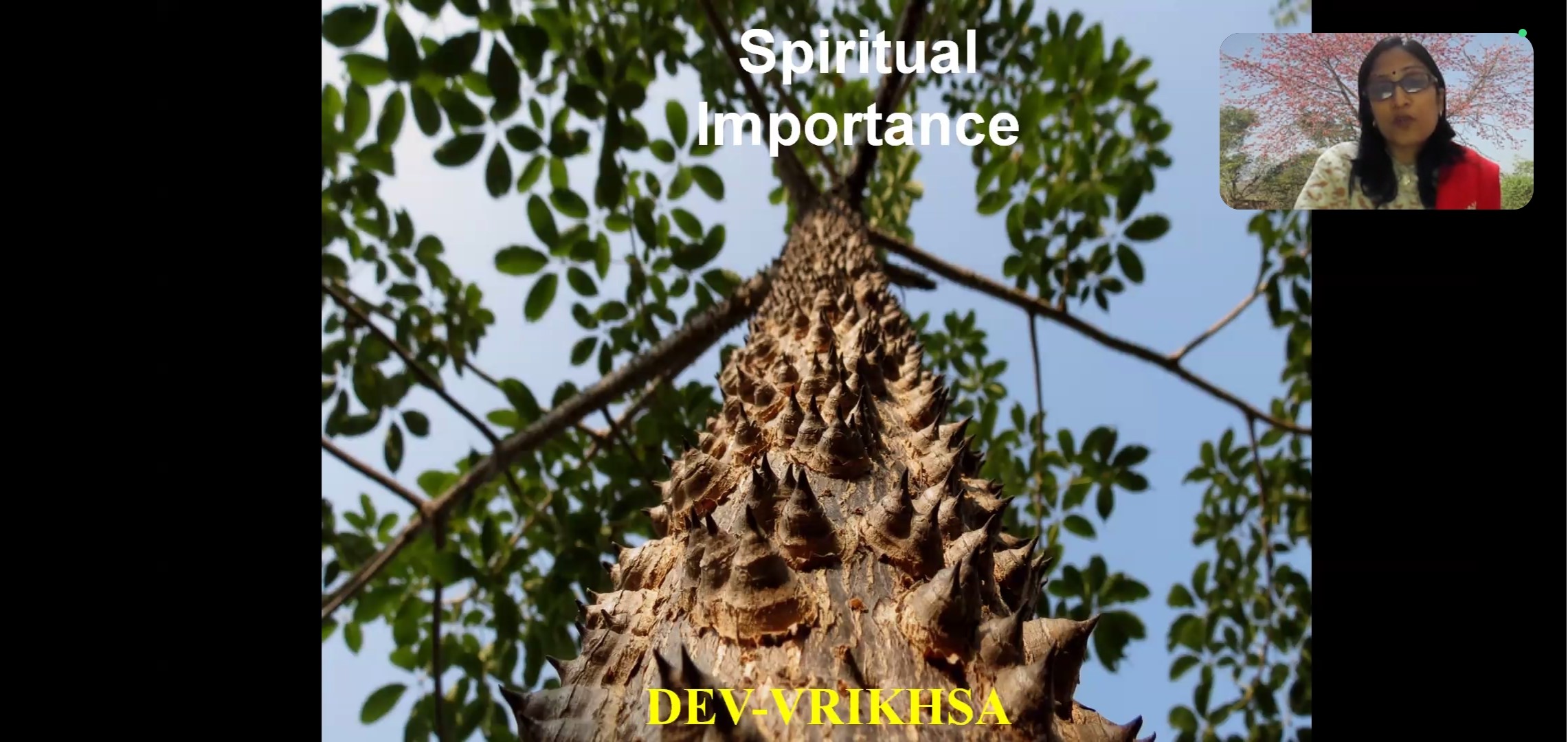 Lecture on Traditional Knowledge and Conservation of Medicinal Tree Semal