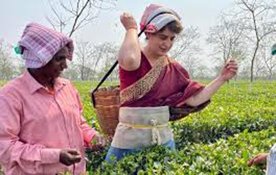 कांग्रेस असम में चाय बागान के श्रमिकों की मजदूरी बढ़ाएगी : प्रियंका