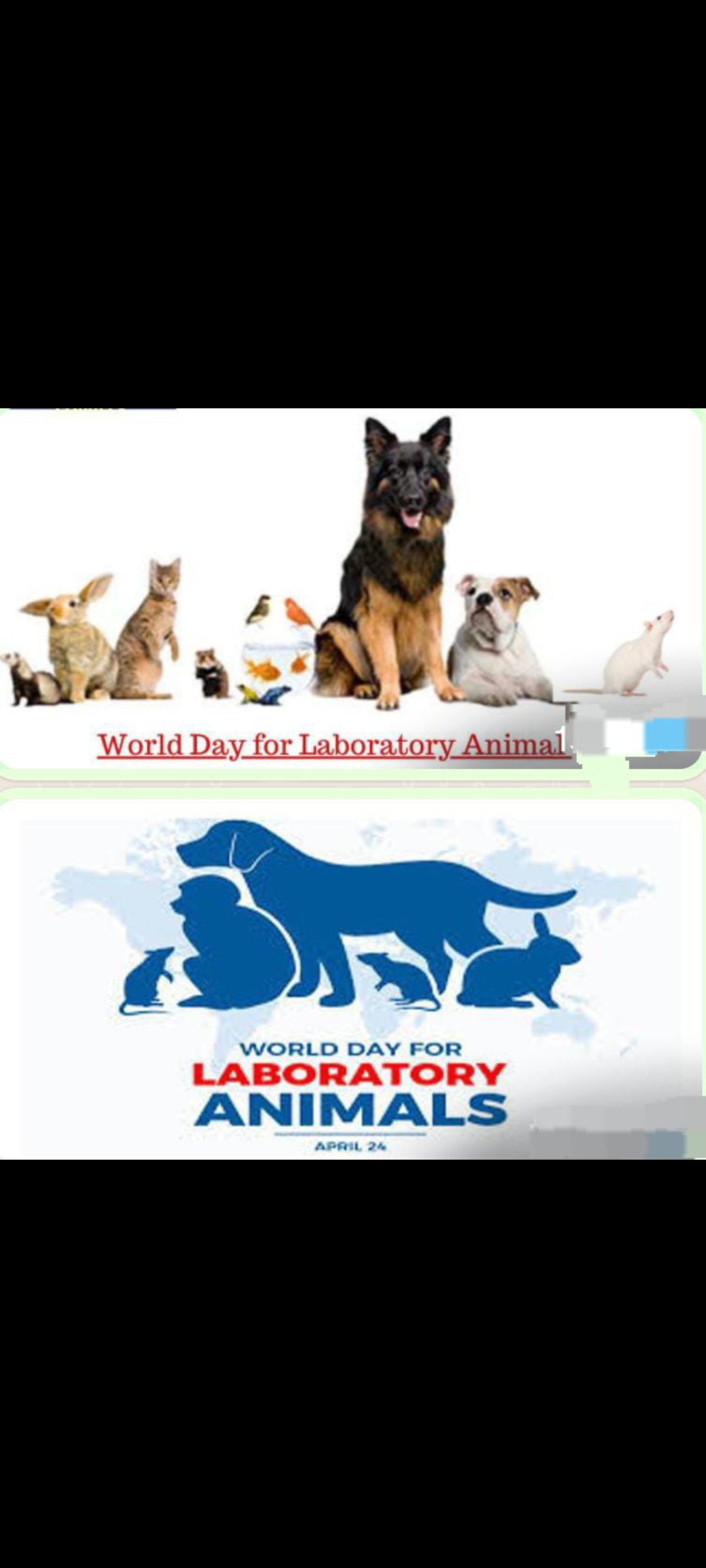 विश्व प्रयोगशाला पशु दिवस 2024 पर पैनल डिस्कशन 