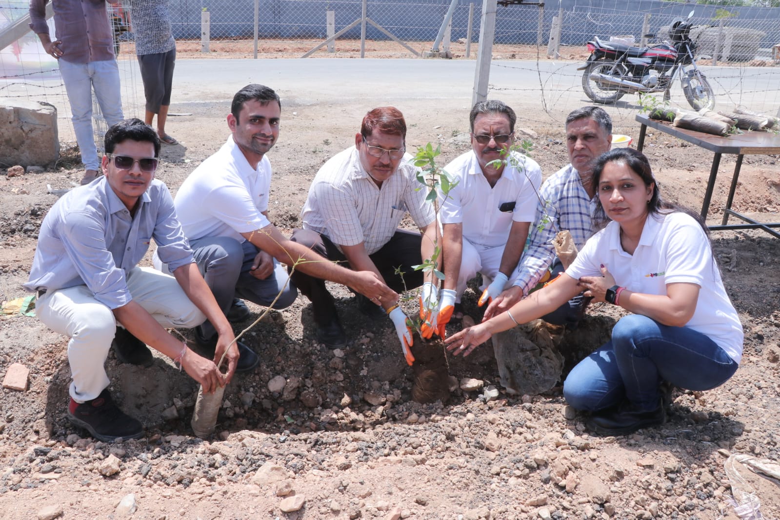 Minova Private Company Plants 500 Trees in Hamirgarh Industrial Area