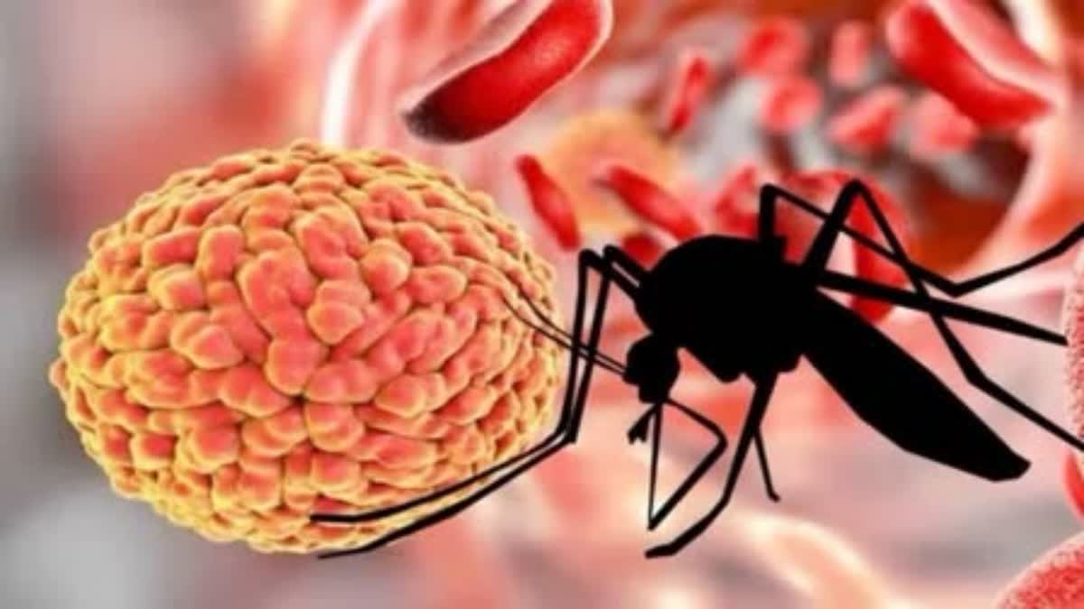 क्या हम दिमाग़ पर असर डालने वाले जीका वायरस से घिरे हैं : डॉ. लियाकत अली मंसूरी