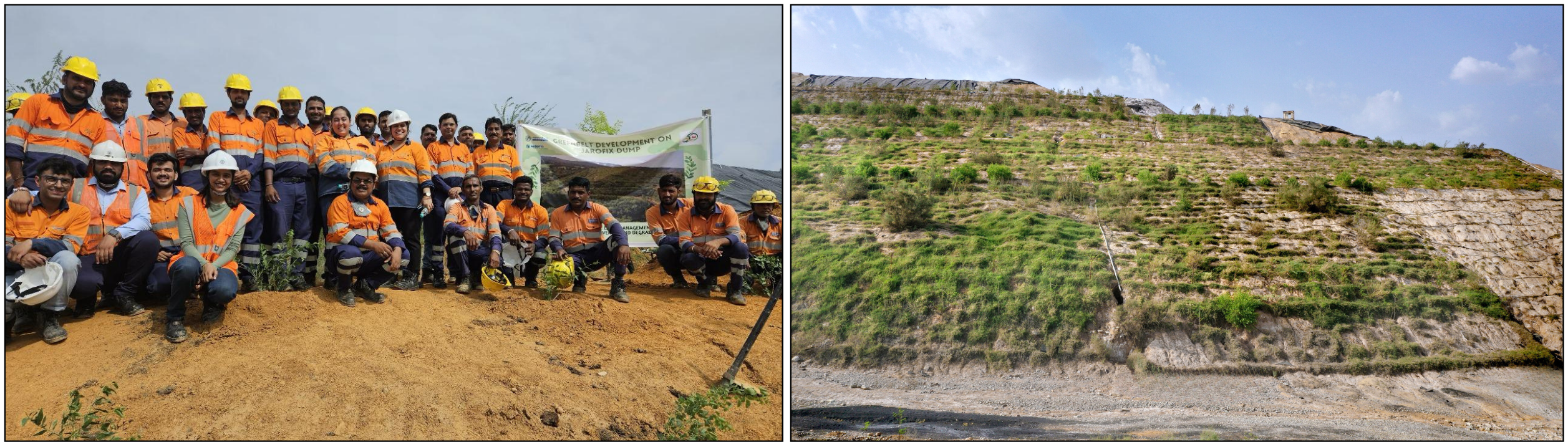 टीईआरआई के साथ मिलकर माइकोराइजा पद्धति से हरितिमा को बढ़ावा देगा हिंदुस्तान जिंक