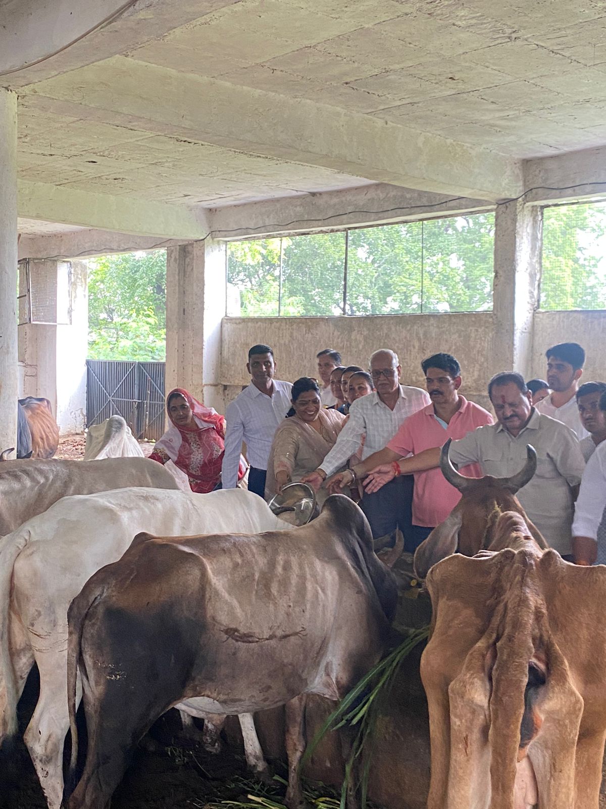 ### Pilot's Birthday Celebrated with Cow Service