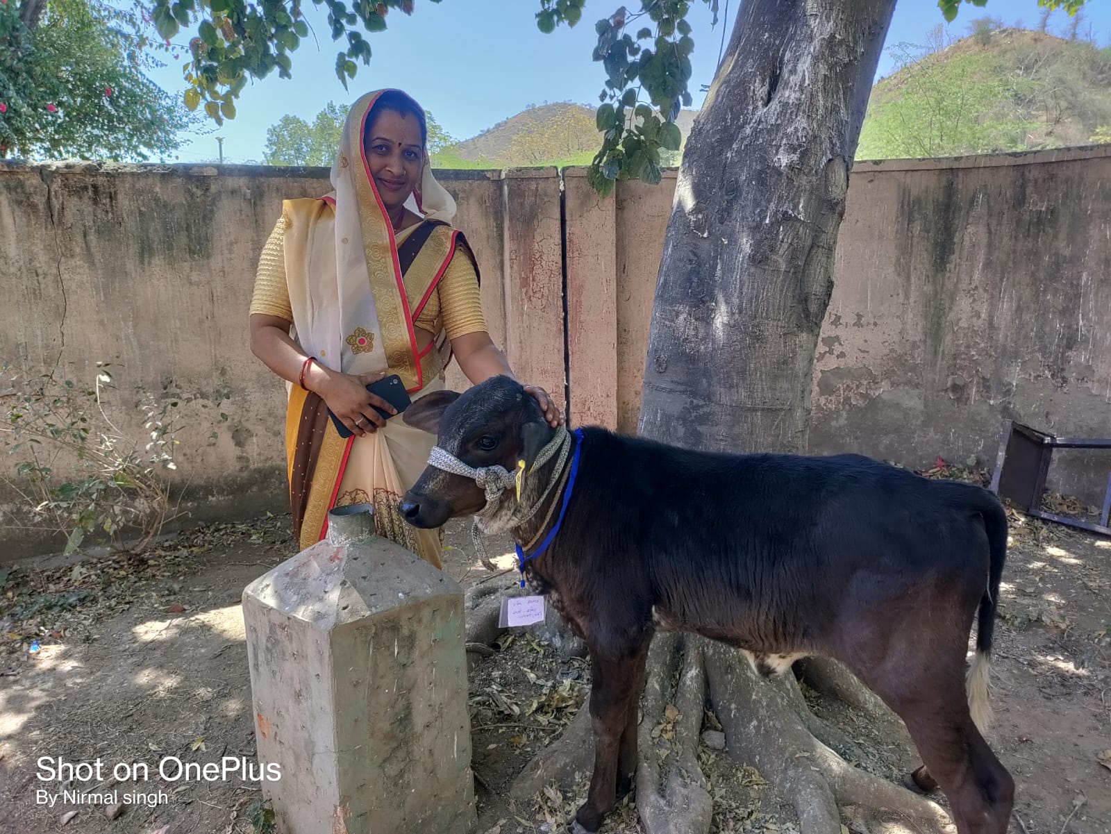 हिन्दुस्तान जिंक द्वारा जावर में समाधान पहल के तहत् उन्नत नस्ल गोवत्स प्रदर्शनी आयोजित