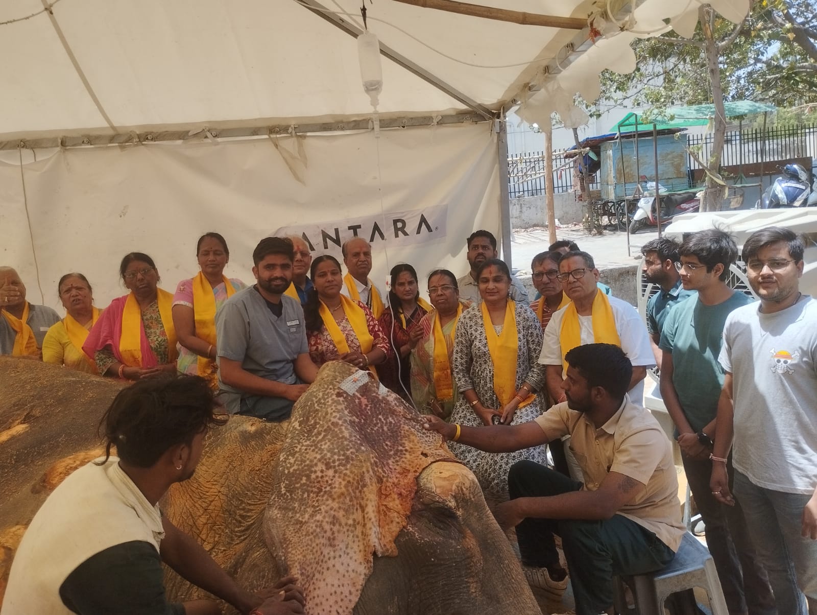 रामू हथिनी के कल्याणार्थ गीता पाठ एवं विष्णुसहस्त्रनाम का पाठ किया