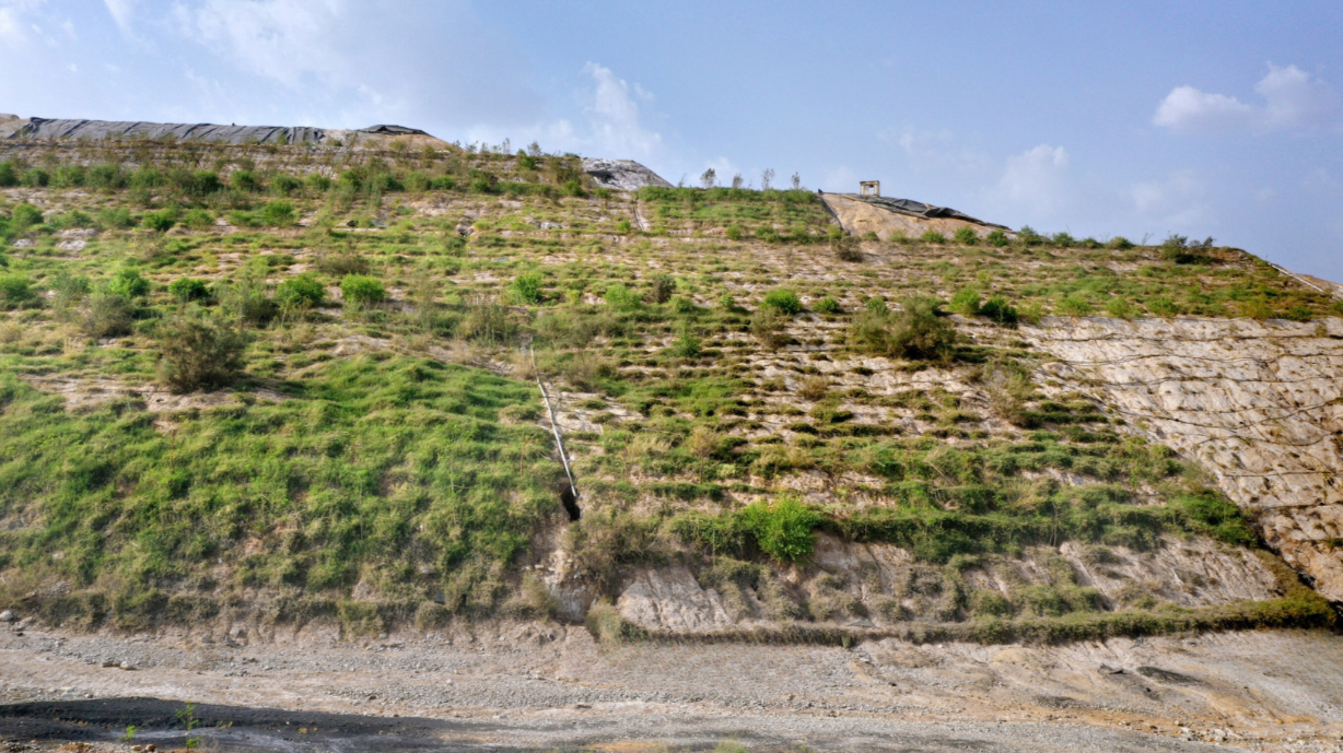 Green Belt at Chanderiya Smelter: A Model of Sustainable Development