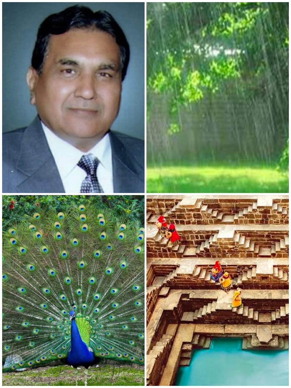 अनमोल बूंदों को सहेजे, देश को हराभरा बनाए