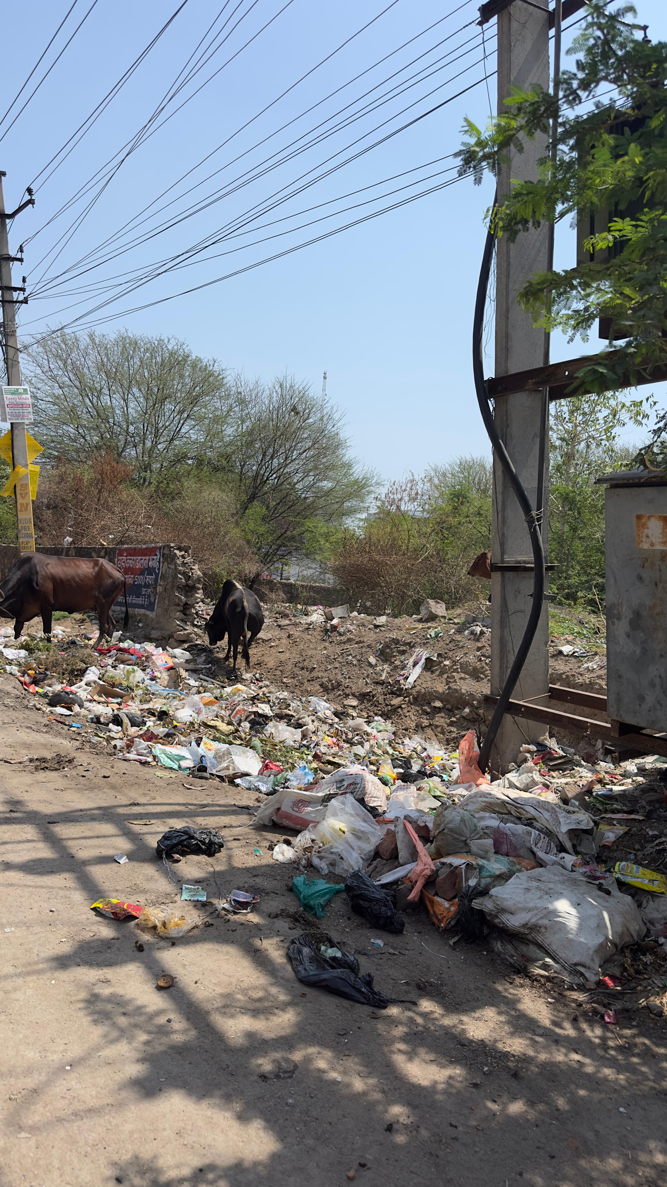 कचरा संग्रहण स्थल (कचरा प्वाइंट) को अन्यत्र स्थानांतरित करने सहित अन्य समस्याओं की नहीं हो रही सुनवाई