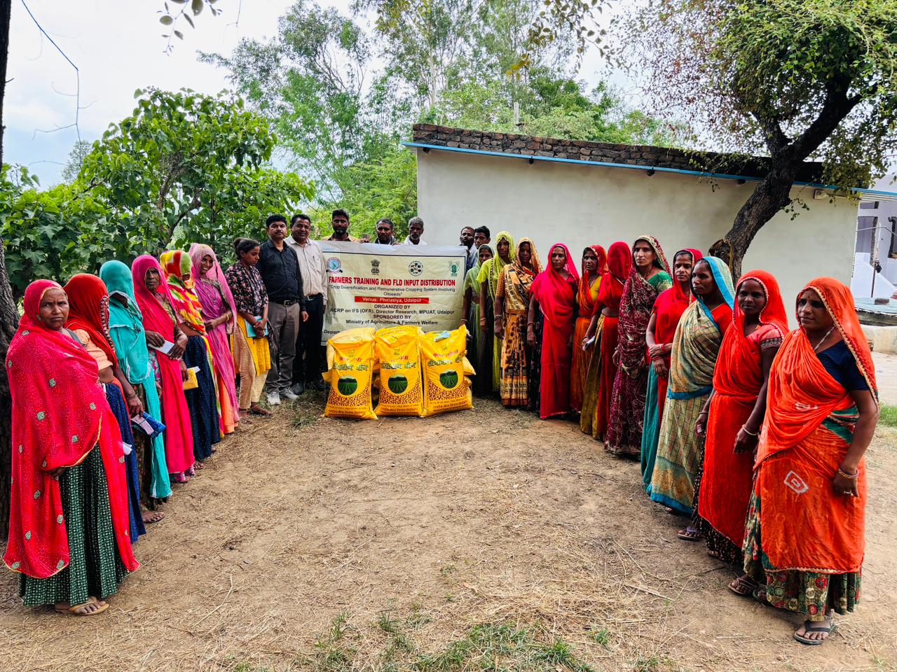 Advanced Techniques in Oilseed Cultivation Promoted