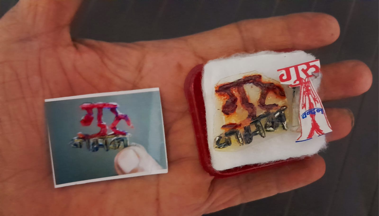 गुरु महोत्सव मनाया 