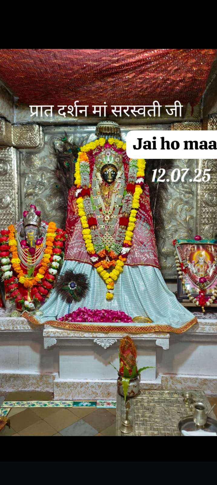अजारी में सरकार मोर अभायरण बनावें: सुनील सिंघी