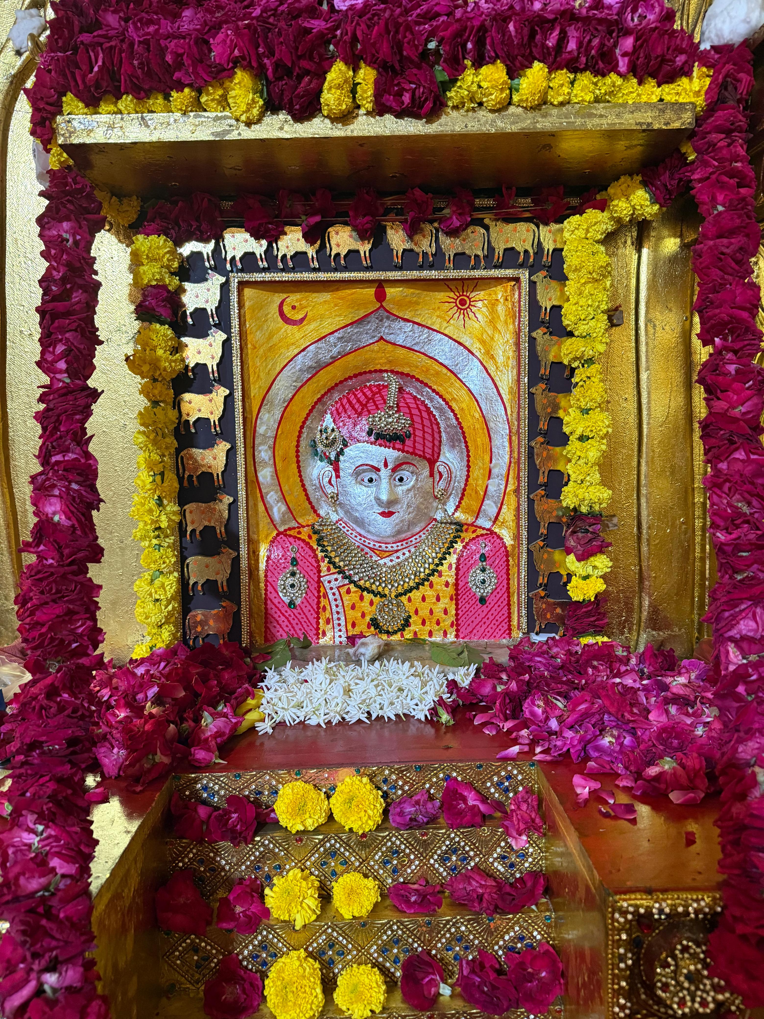 सगस जी बावजी जन्मोत्सव अवसर पर 351 यूनिट रक्तदान