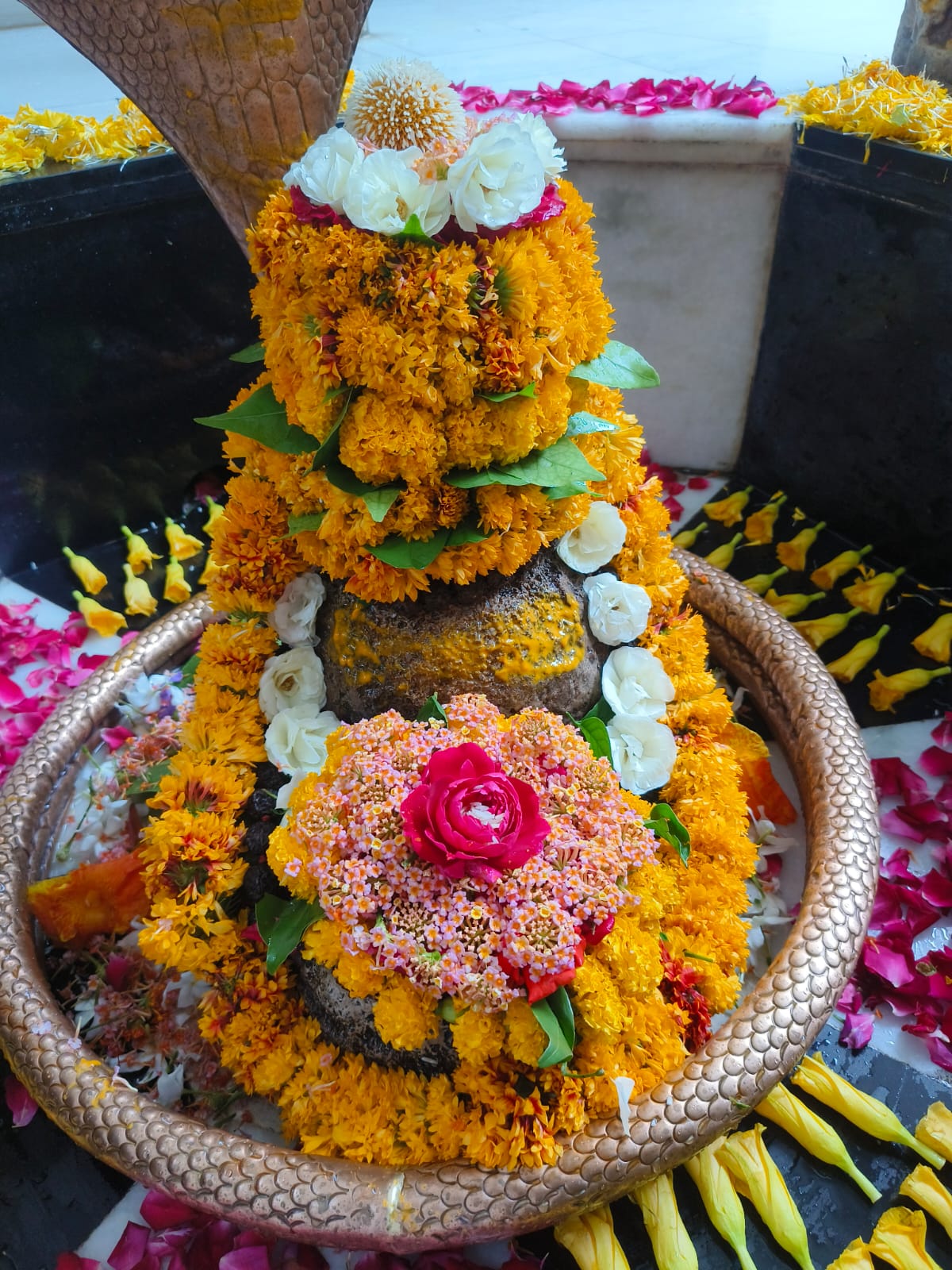 कुकड़ेश्वर महादेव का कावड़िये करेंगे जलाभिषेक
