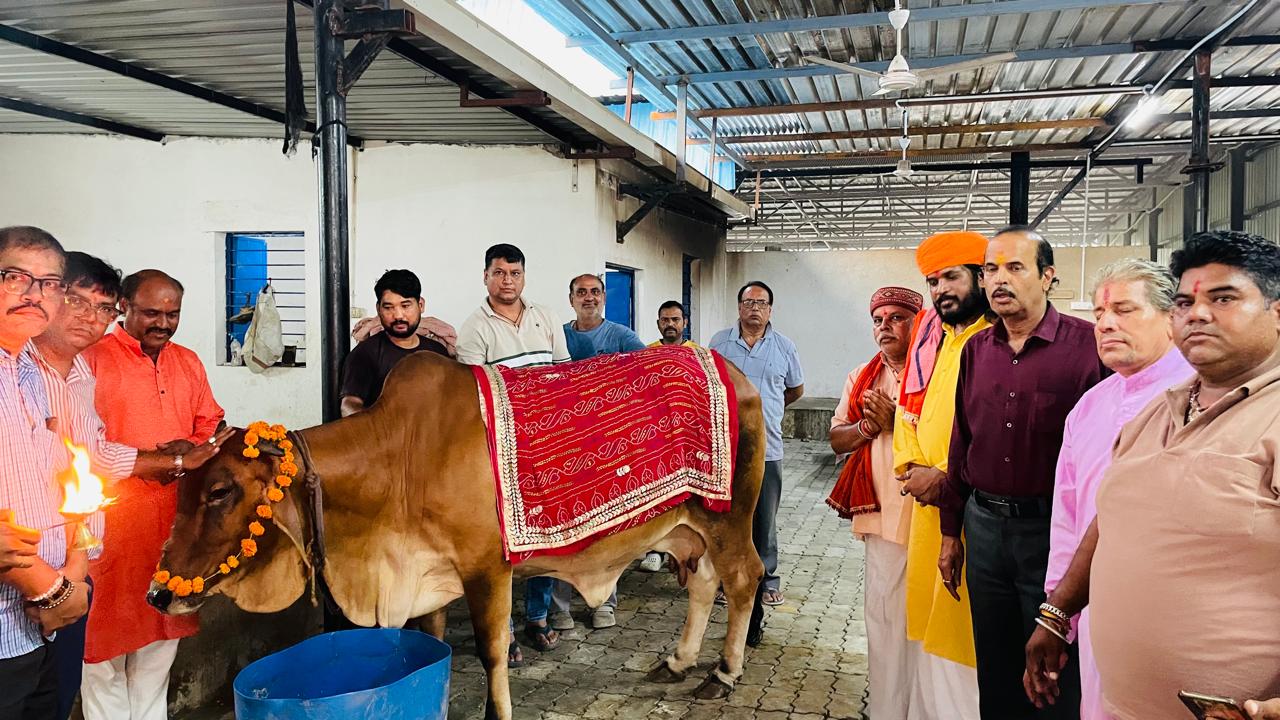 बजरंग सेना मेवाड़ का गौ पूजन कार्यक्रम