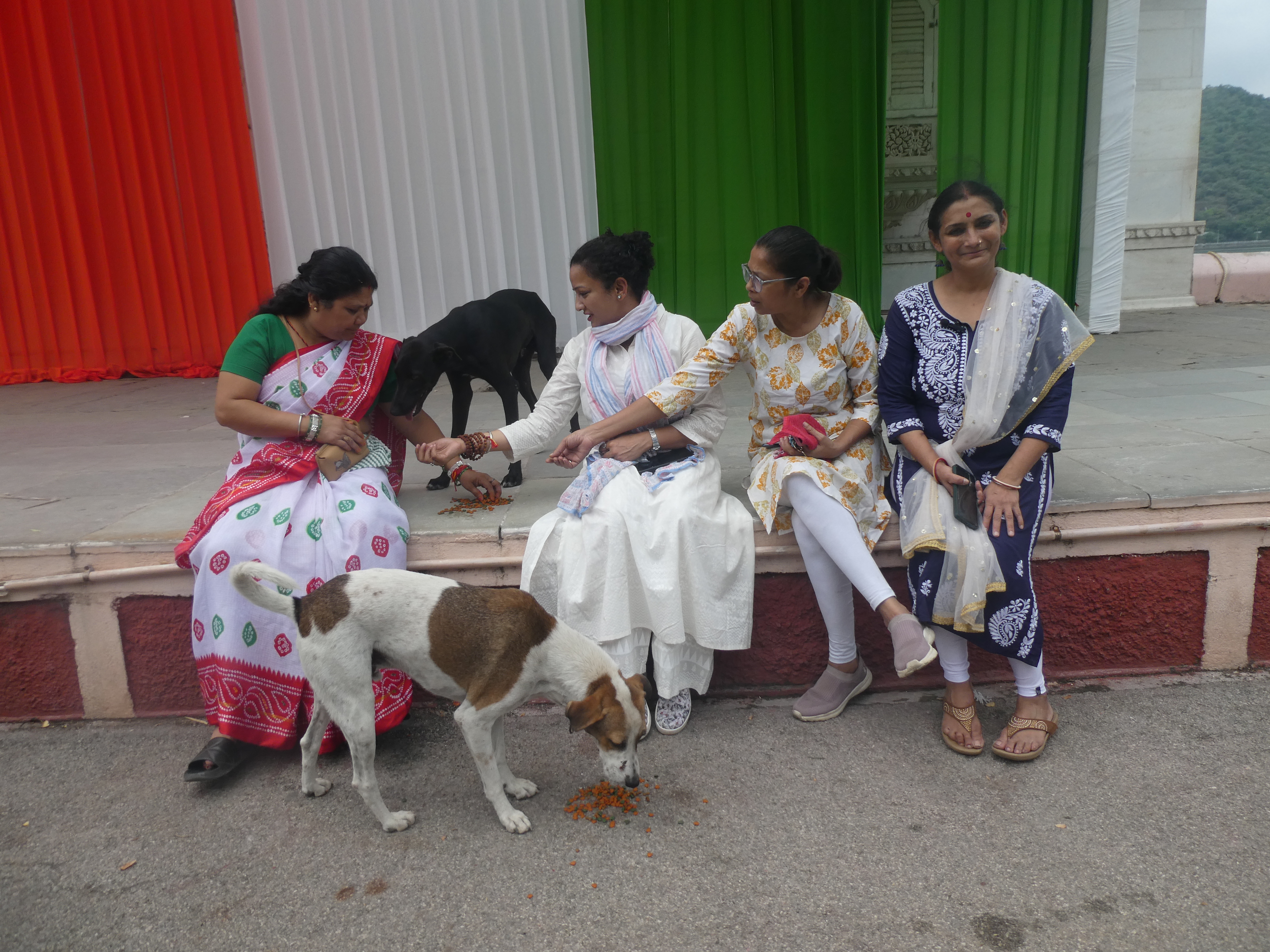 Independence Day Marked as ‘Day of Disappointment’ by Animal Lovers in Udaipur