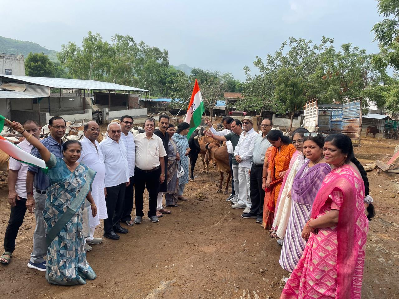 गोशाला में गोवंश को हरा चारा खिलाया