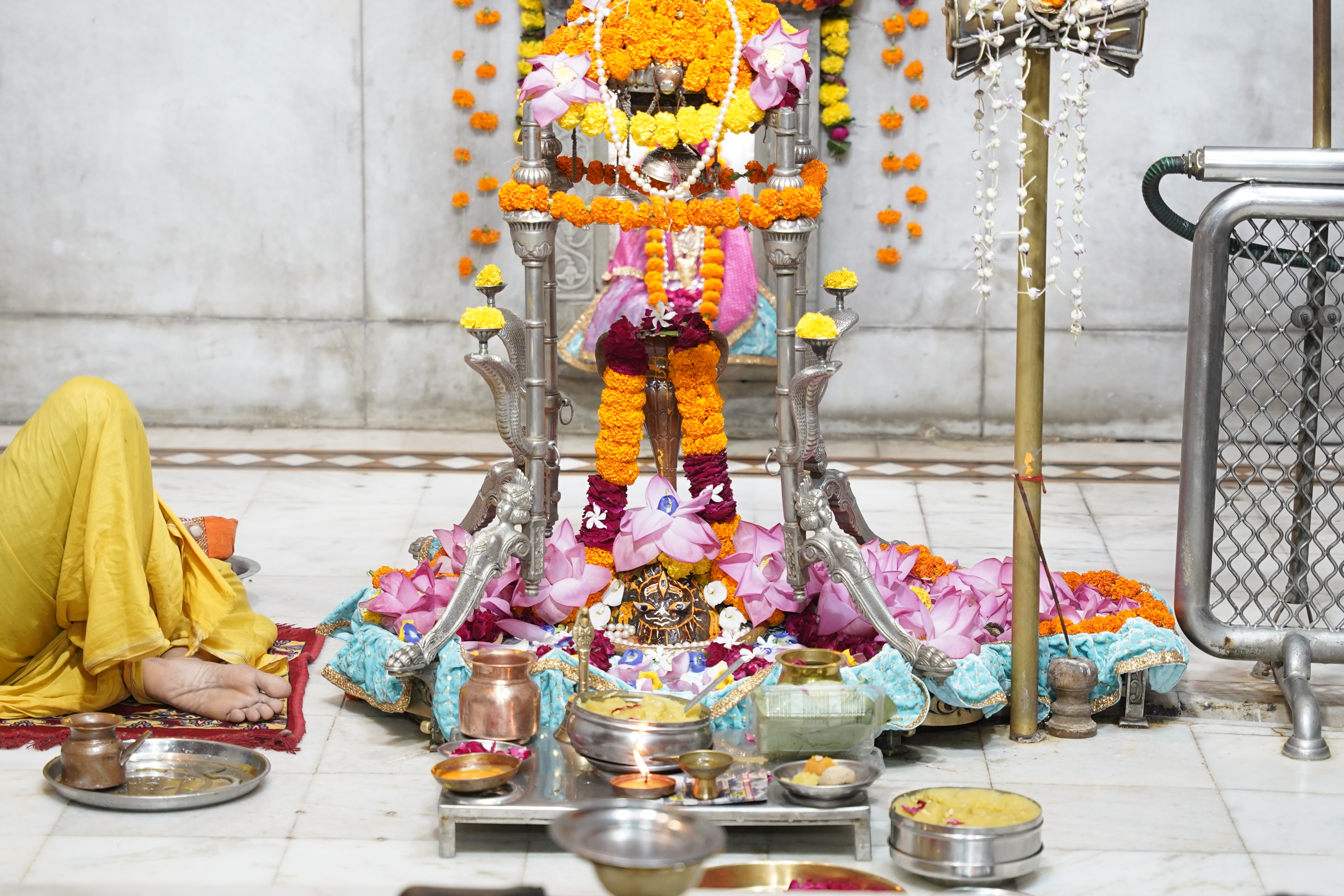501 Lamps Lit at Mahakal Mahaarti; Udaipur Animal Protection Society Pledges Animal Care