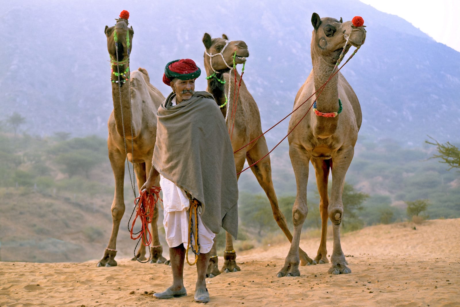 Devendra Shrimali Wins at Nazar Photo Exhibition